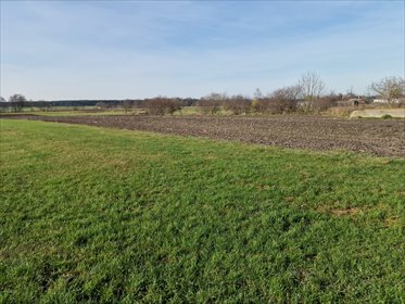 działka na sprzedaż 9400m2 działka Biskupice