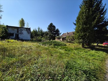 Działka z domem 164 m² w Bartoszówce - polecam dom Bartoszówka