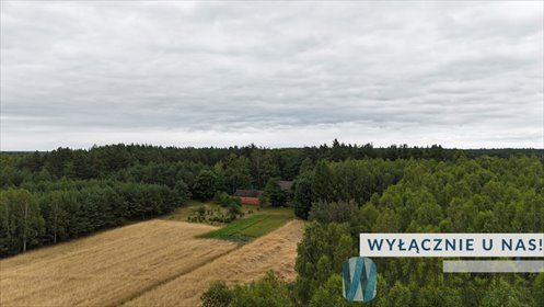 działka na sprzedaż 8520m2 działka Lipa