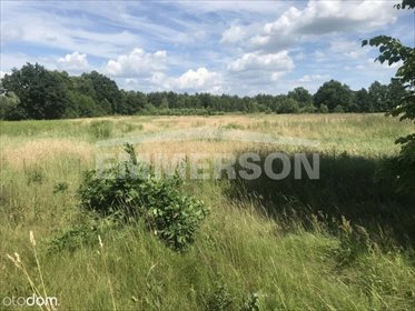 działka na sprzedaż 22600m2 działka Józefów, Akacjowa