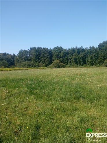 działka na sprzedaż 18413m2 działka Placydów
