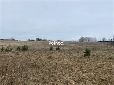 Działka inwestycyjna 30 000 m² przy węźle S16 - uzbrojona działka Wójtowo