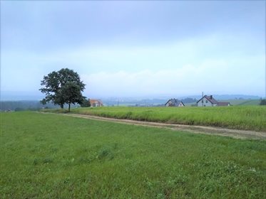 Działka budowlana na sprzedaż Pępice 1 238m2 Foto 2