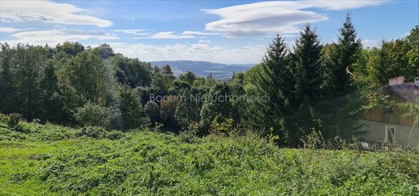 Działka inna na sprzedaż Kudowa-Zdrój, Jakubowice 1 100m2 Foto 7