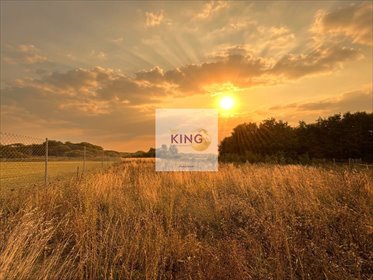 Działka 2141 m² z warunkami zabudowy - Żabnica Gryfino działka Żabnica