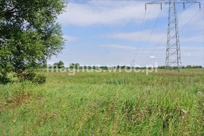 działka na sprzedaż 6069m2 działka Wrocław, Psie Pole, Kowale, okolice Chłopskiej