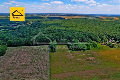 Działka rekreacyjna 4986 m² z dostępem do drogi i mediów działka Uściąż, Uściąż