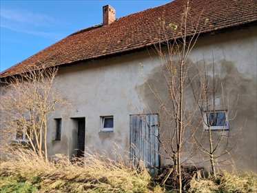 magazyn na sprzedaż 336m2 magazyn Młodzianów