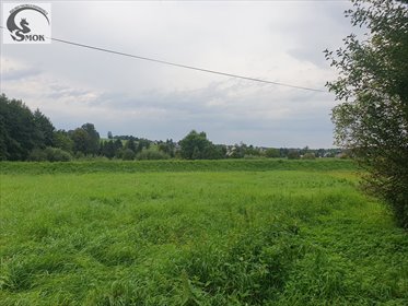 działka na sprzedaż 5800m2 działka Radziszów