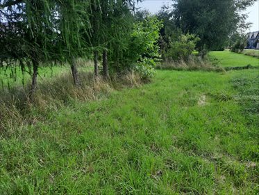 Działka budowlana na sprzedaż Leśna 7 700m2 Foto 3