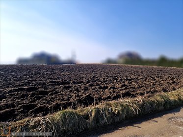 działka na sprzedaż 1257m2 działka Dojazdów