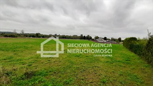 działka na sprzedaż 1000m2 działka Borcz