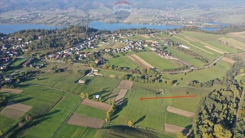 działka na sprzedaż 22389m2 działka Falsztyn