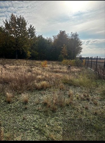 działka na sprzedaż 1000m2 działka Dachowa