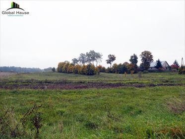 Działka rolna na sprzedaż Królowa Wola 28 400m2 Foto 3