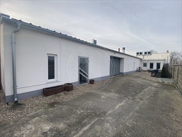 Magazyn na sprzedaż Nowa Wieś, Przemęcka 1 400m2 Foto 3