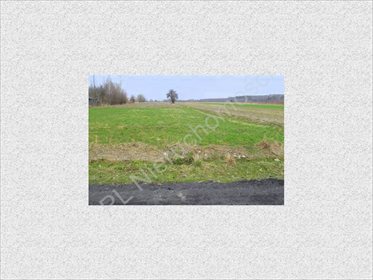 działka na sprzedaż 4500m2 działka Tyborów