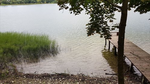 działka na sprzedaż 2500m2 działka Dobki