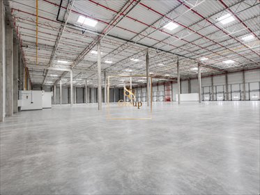 Magazyn klasy A 6 500 m² z dokami i LED – od zaraz! magazyn Emilianów