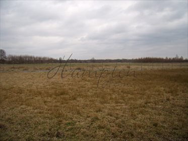 Działka rolna na sprzedaż Jaźwie 1 800m2 Foto 2