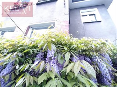 dom na sprzedaż 260m2 dom Wrocław, Śródmieście, Zacisze, ZACISZE