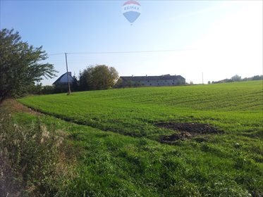 Magazyn na sprzedaż Niemojewo 1 190m2 Foto 2