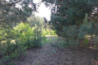 działka na sprzedaż 1492m2 działka Racibory, Racibory