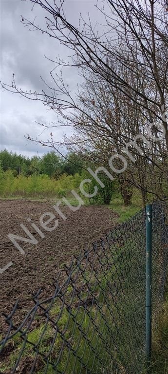 Działka 39 300 m² pod osiedle z domem i mediami działka Radonie
