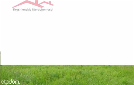 działka na sprzedaż 6648m2 działka Krosno, Inne