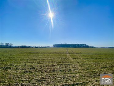 Polecam działkę rolną 3050 m² w Gryfice działka Gryfice
