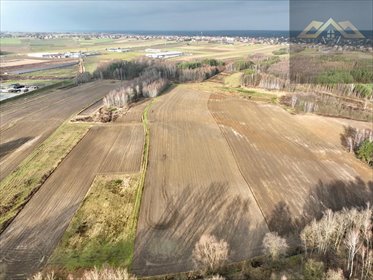 działka na sprzedaż 3500m2 działka Lisia Góra
