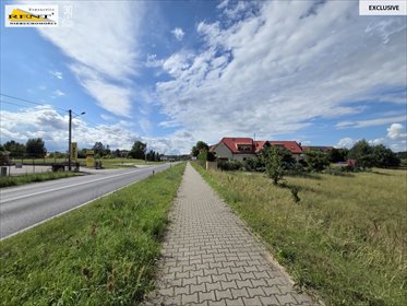 działka na sprzedaż 11000m2 działka Lubieszyn