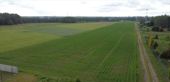 działka na sprzedaż 1066m2 działka Górka Pabianicka