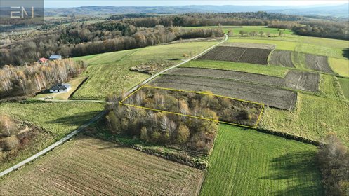 Działka 3000 m² z widokiem, blisko lasów - polecam działka Niewodna