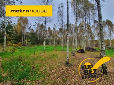 Działka budowlana na sprzedaż Rańsk, Dźwierzuty 1 094m2 Foto 1