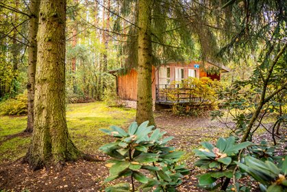 działka na sprzedaż 745m2 działka Prace Duże, Grzybowa