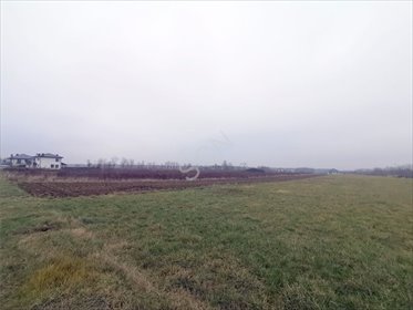 działka na sprzedaż 4134m2 działka Czosnów