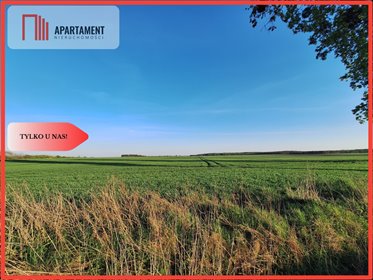 działka na sprzedaż 922m2 działka Boruchowo