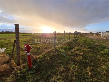 działka na sprzedaż 6246m2 działka Wszemirów