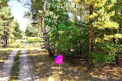 działka na sprzedaż 3140m2 działka Dąbrówka-Ług