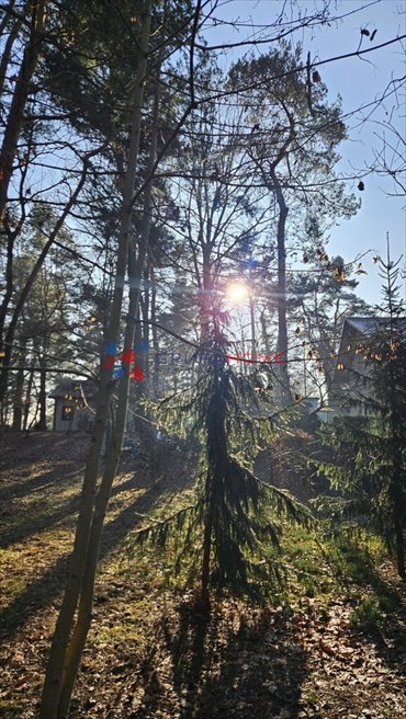 Działka budowlana na sprzedaż Piaseczno, Zalesie Dolne 1 352m2 Foto 4