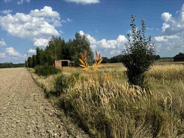 działka na sprzedaż 8849m2 działka Karlin, Nowa