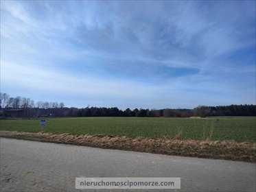 Działka 11 700 m² z dużym potencjałem inwestycyjnym działka Dąbki
