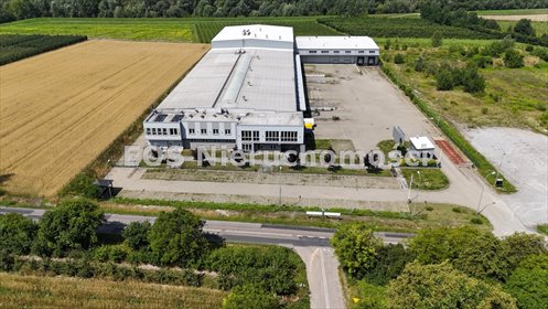 lokal użytkowy na sprzedaż 7767m2 lokal użytkowy Piotrawin