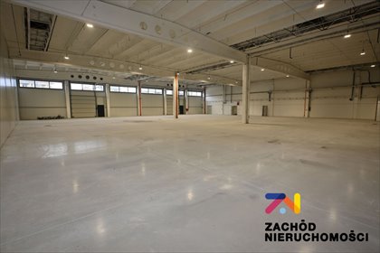 Hala magazynowa 1262 m² z biurem i socjalem w Zielonej Górze lokal użytkowy Zielona Góra, Osiedle Zdrojowe