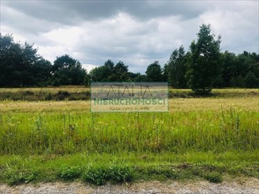 Działka 3900 m² pod zabudowę w zielonej okolicy działka Powązki