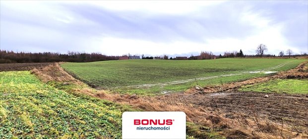 Działka inna na sprzedaż Gradki 47 600m2 Foto 3