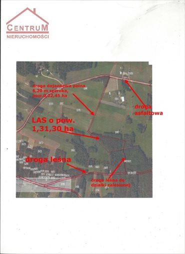 Działka leśna na sprzedaż Brzozowy Kąt 15 375m2 Foto 4