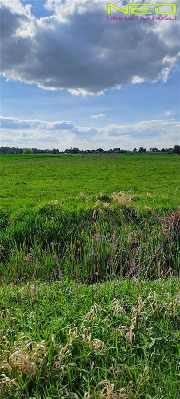 Działka rolna 4736 m² w Opatowie (spokojna okolica) działka Opatów