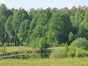 działka na sprzedaż 26400m2 działka Lipinki